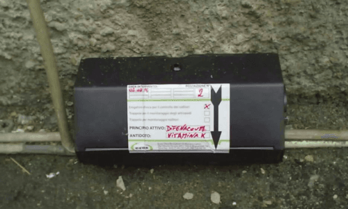 Normativa e Piano di Derattizzazione Haccp