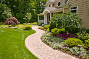 mmagine derattizzazione giardino